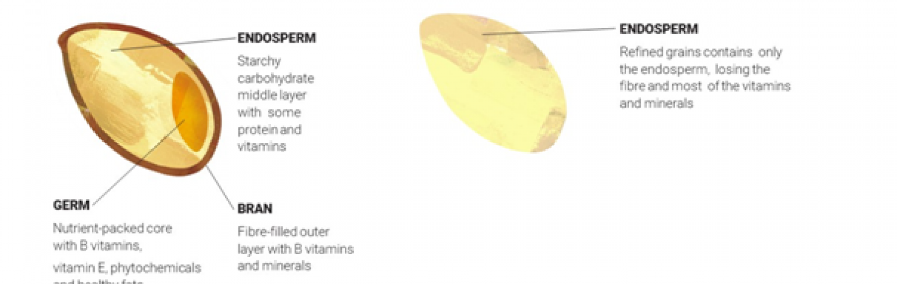 Balancing Carbs and Starches with NutriPro