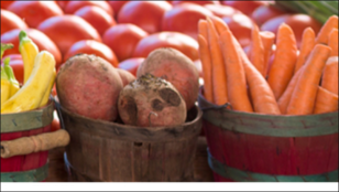 Discovere Hidden Animal-Based Ingredients with NutriPro