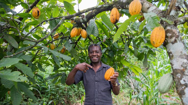 Empowering Cocoa Farmers for Sustainability with Nestlé Professional