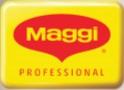 maggi proffessional logo -23