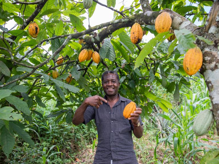 Empowering Cocoa Farmers for Sustainability with Nestlé Professional