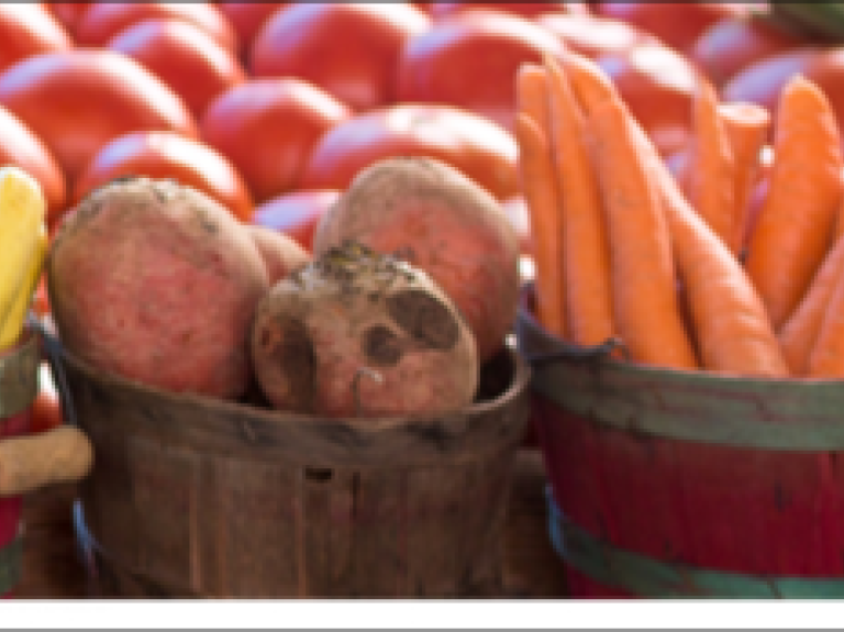 Discovere Hidden Animal-Based Ingredients with NutriPro